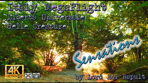 Italy MegaFlight - Libertà Universale delle Creature - Sensations