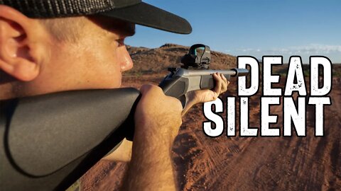 The Quietest Rifle Only Costs $350
