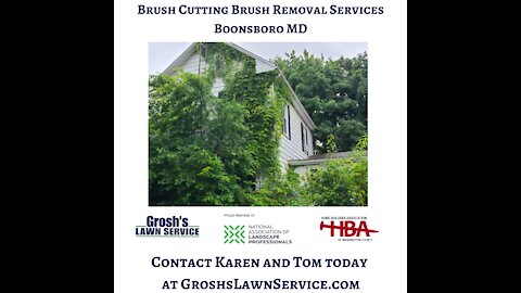 Brush Cutting Boonsboro MD Landscaping Contractor