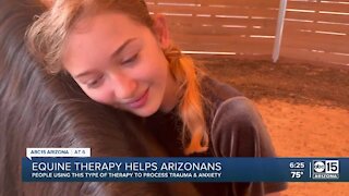 North Phoenix horse therapy ranch helping to wrangle anxiety