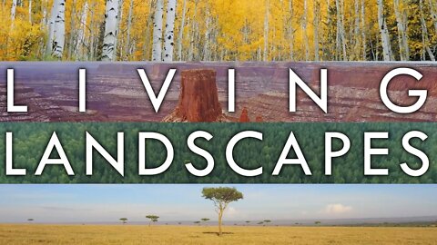 Living Landscapes - The Music of the Biomes Series
