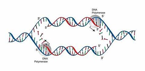 Brent Cates – Protecting your DNA