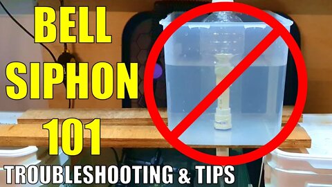 Bell Siphon Troubleshooting & Explanation | Aquaponics 101