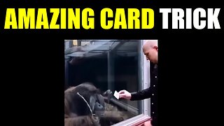 Amazing Card Trick