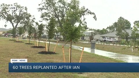 Arbor Day Foundation grant replaces trees lost in Hurricane Ian at Cultural Park