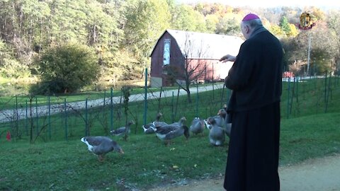 La semence qui tomba le long du chemin - Mgr. Jean Marie vous parle