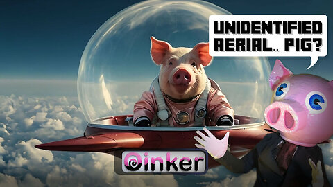Unidentified Aerial.. Pig?
