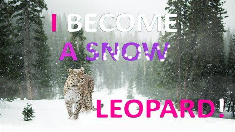 Guild Wars 2 | I am Change into A Clouded Snow Leopard!