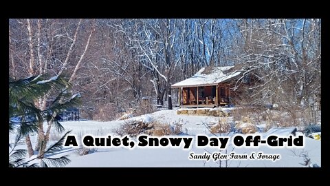 A Quiet, Snowy Day Off-Grid