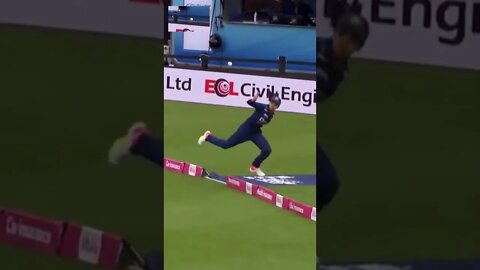 best ultimate boundary catch in cricket Harleen Deol women's cricket #bcc #cricket #SHORTS #catch