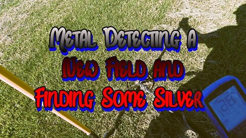 Metal Detecting a New Permission