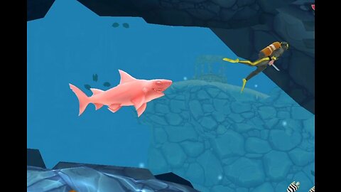 Hungry Shark | Feeding Frenzy Adventure