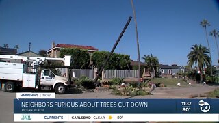 OB residents angry over city's decision to cut down trees