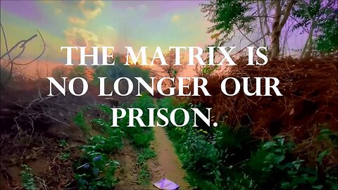 The Matrix is no longer our Prison.