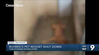 Buhrke's Pet Resort in Marana license revoked following dog death