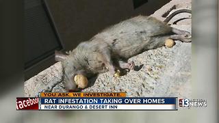 Las Vegas families found rat with Cap'n Crunch in mouth