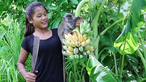 Survival skills: Found natural ripe banana for food of survival in jungle - Life skills in jungle