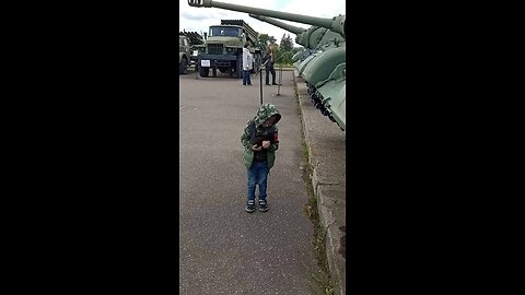 Kittens near military equipment in the Stalin Line historical and cultural complex