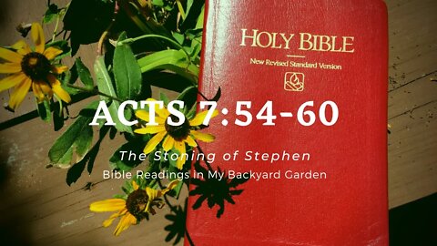 ACTS 7:54-60 (The Stoning of Stephen)