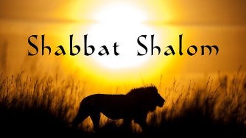 Shabbat Shalom - ALIENS in the LAND