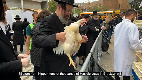 Kapparot – ortodoksyjny żydowski rytuał zabijania kurczaka w Nowym Jorku | Napisy PL