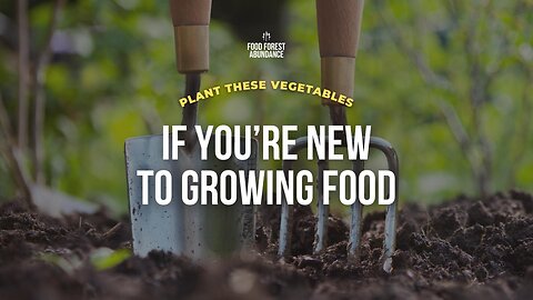 Plant these vegetables if you're new to growing food