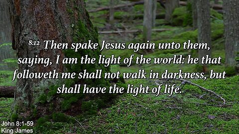 Sunday Morning, July 23rd - I Am the Light of the World