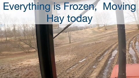 Everything is frozen, Moving Hay today