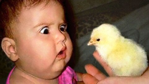 Try Not To Laugh: Funniest Moment Of Baby And Animals |Best Friend Is Sharing...