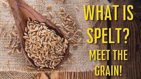 All About Spelt! | What is Spelt? | How to Use Spelt? | How to Use Ancient Grains |Meet the Grain |