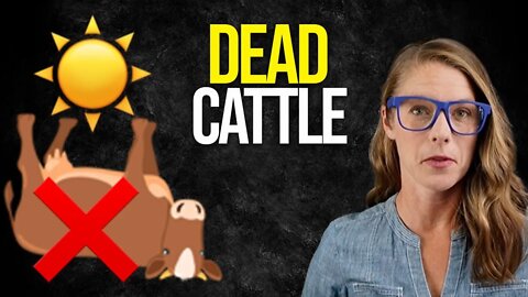 Thousands of cattle dead - why? || Will Harris (White Oak Pastures)