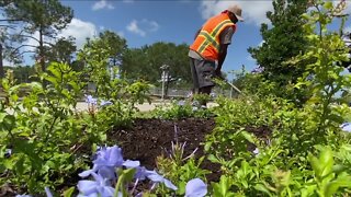 Manatee County focusing on green efforts in the area