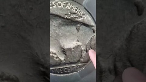 Don't SELL Your Buffalo Nickels! Watch this first #coins