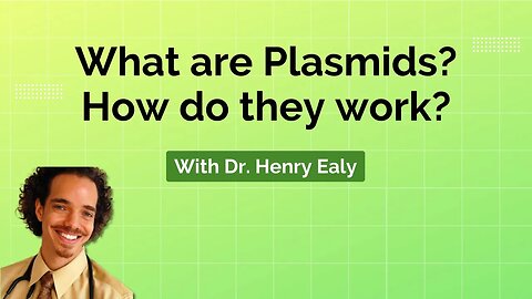 Plasmids What are they and how do they work