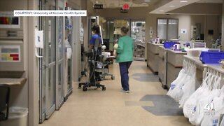 Spike in sicknesses concerns doctors going into holiday season