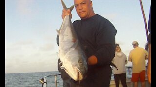 TORRES CHARTER 2019 - Yellowtail, Dorado and Yellowfin Tuna Fishing
