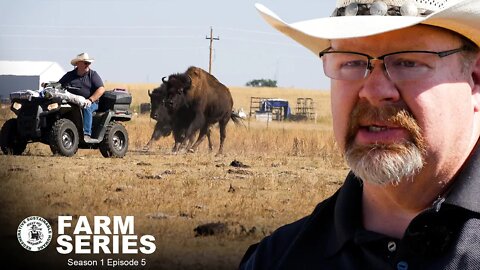 LIFE CHANGING MOMENT for Colorado Ranchers | Memphis Bison Ranch | MMNP Farm Series S1 E5