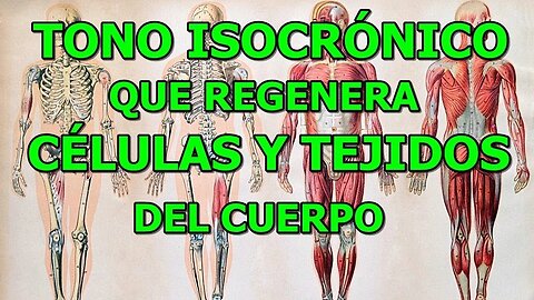 TONO ISOCRONICO QUE ESTIMULA CELULAS Y TEJIDOS DEL CUERPO, REGENERANDO A SU ESTADO NATURAL