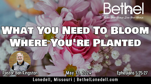 What you need to bloom where you're planted - May 12, 2024