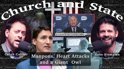 Manpons, Heart Attacks and a Giant Owl