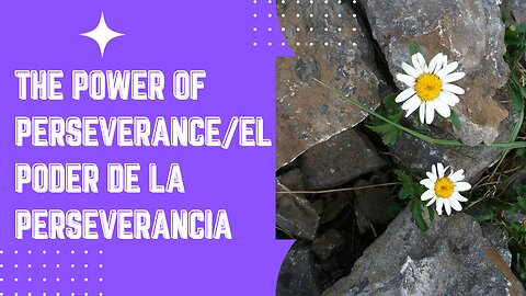 The Power of Perseverance/El Poder de la Perseverancia