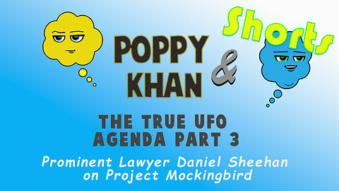 Prisoner of Conscience S1 - E6 - Poppy & Khan | Lawyer Daniel Sheehan, Project Mockingbird #Shorts
