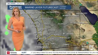 ABC 10News Pinpoint Weather with Meteorologist Leah Pezzetti