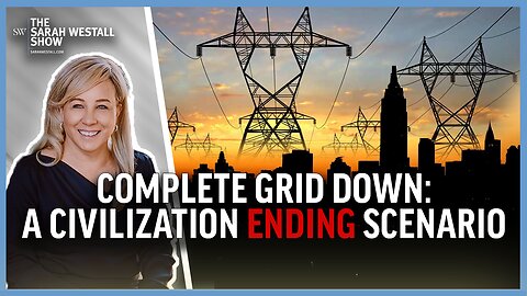 "Civilization Ending" - System Wide Imminent Grid Down Risks w/ EMP NHS Deputy Director Hollerman