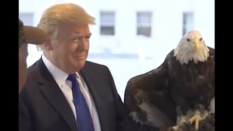 Trump + Bald Eagle = ‘Merica 🦅🇺🇸