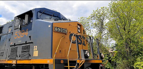 CSX Mixed Freight Train in St Denis, MD