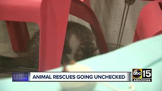 Animal Control officials say regulation needed for rescue facilities