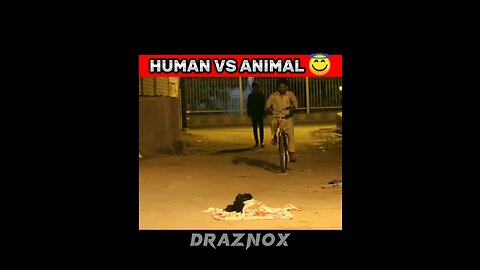 POV:-HUMAN VS ANIMAL 👻👊