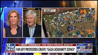 Newt Gingrich: Arrest Pro Hamas Protestors On College Campuses