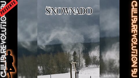 Snownado!